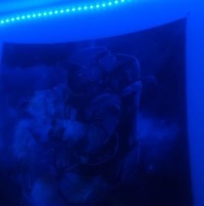 Meet your Posher, Berto